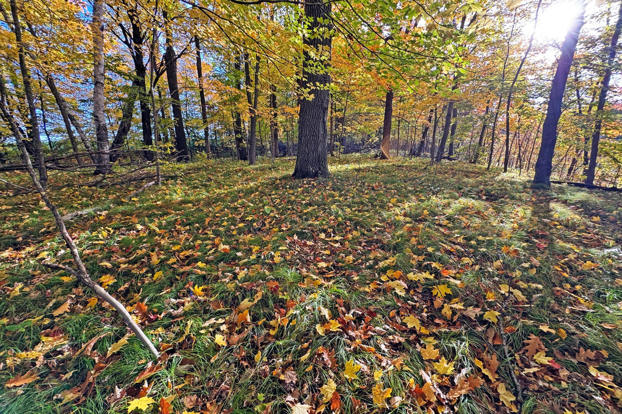 53-Becker-80-Land-35.JPG