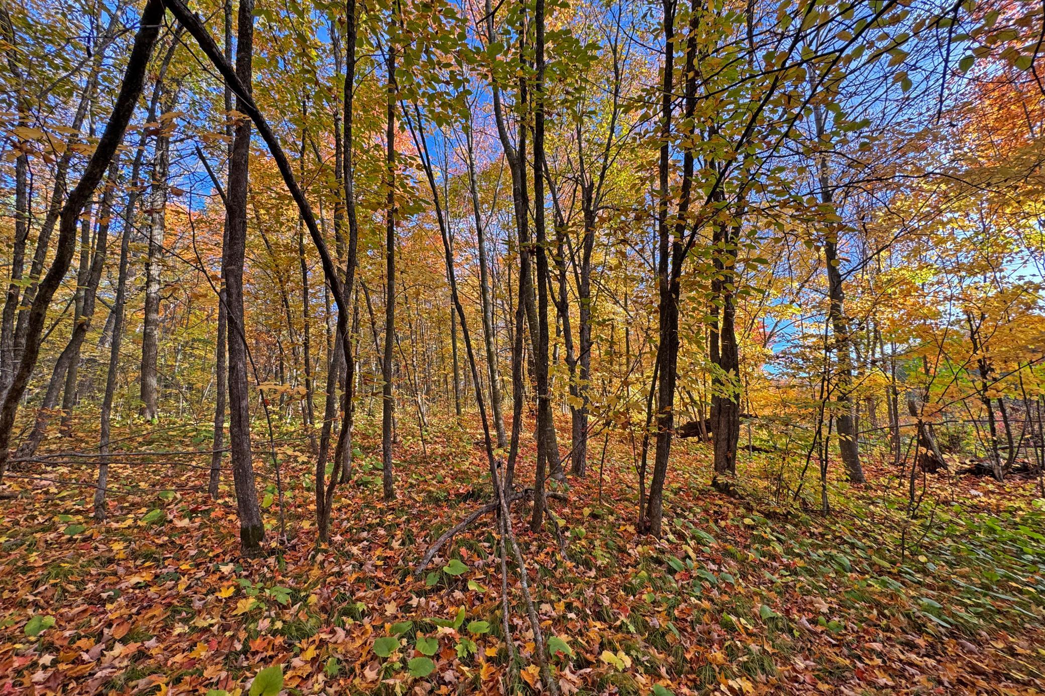 37-Becker-80-Land-23.JPG