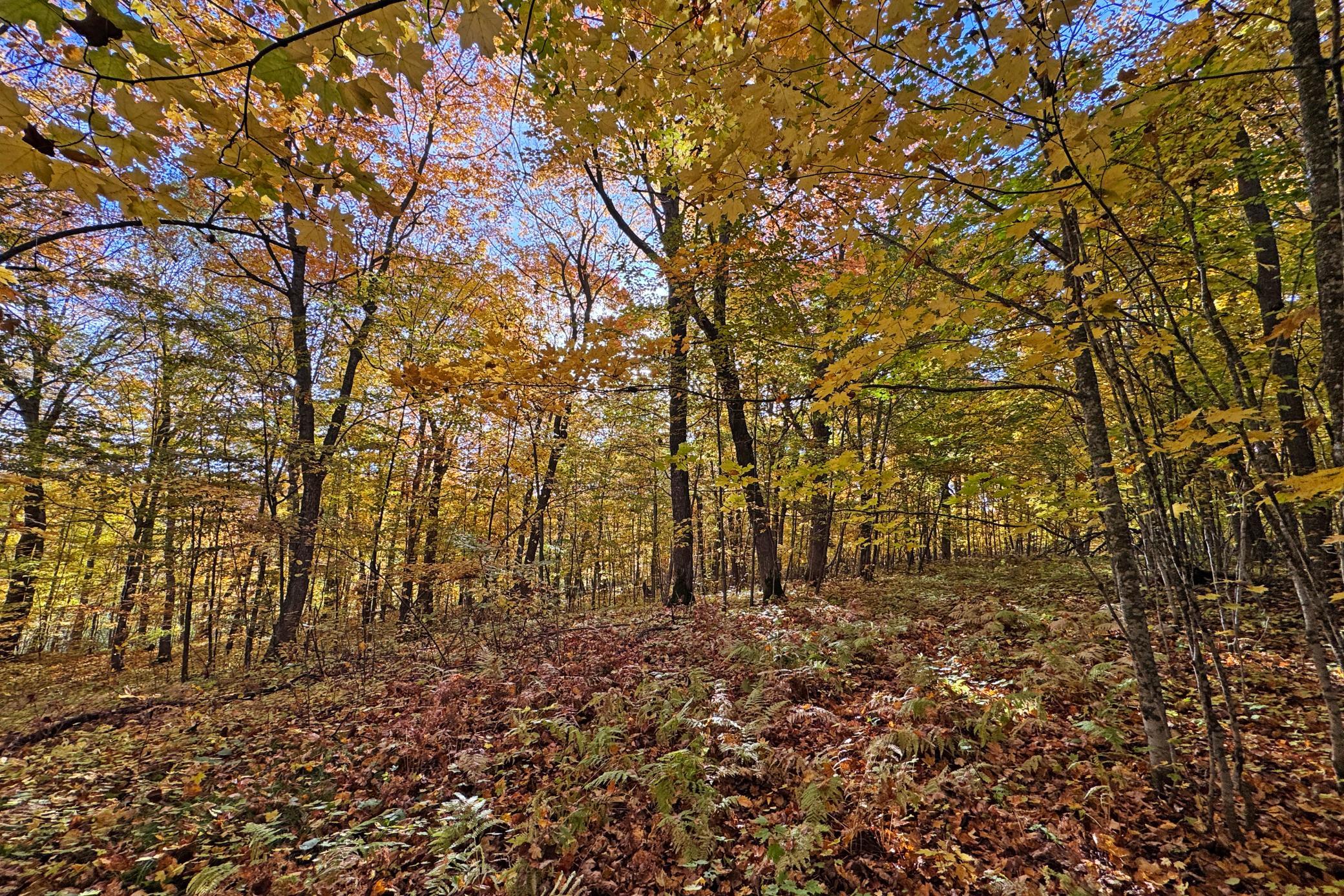 63-Becker-80-Land-45.JPG