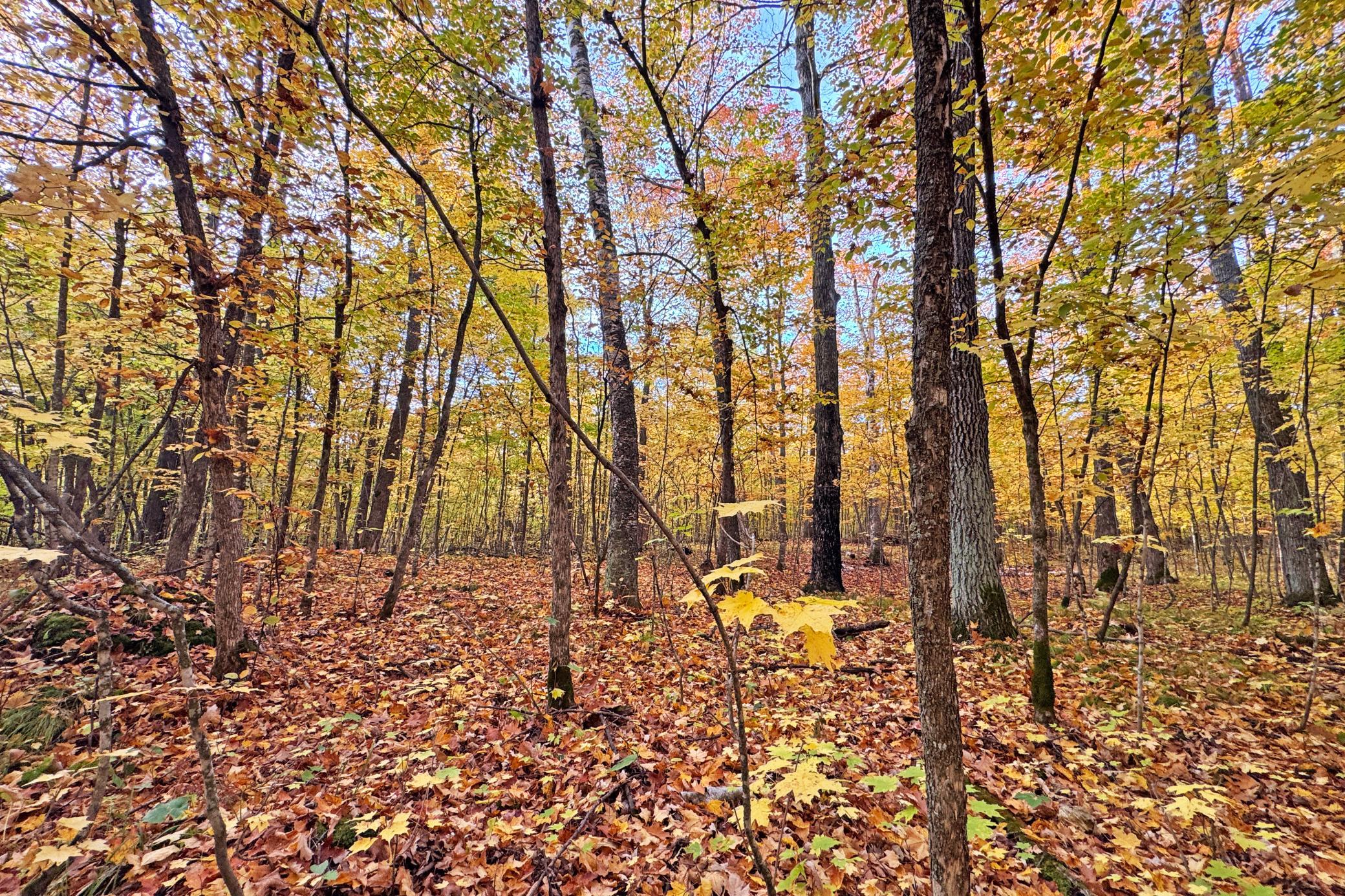18-Becker-80-Land-04.JPG