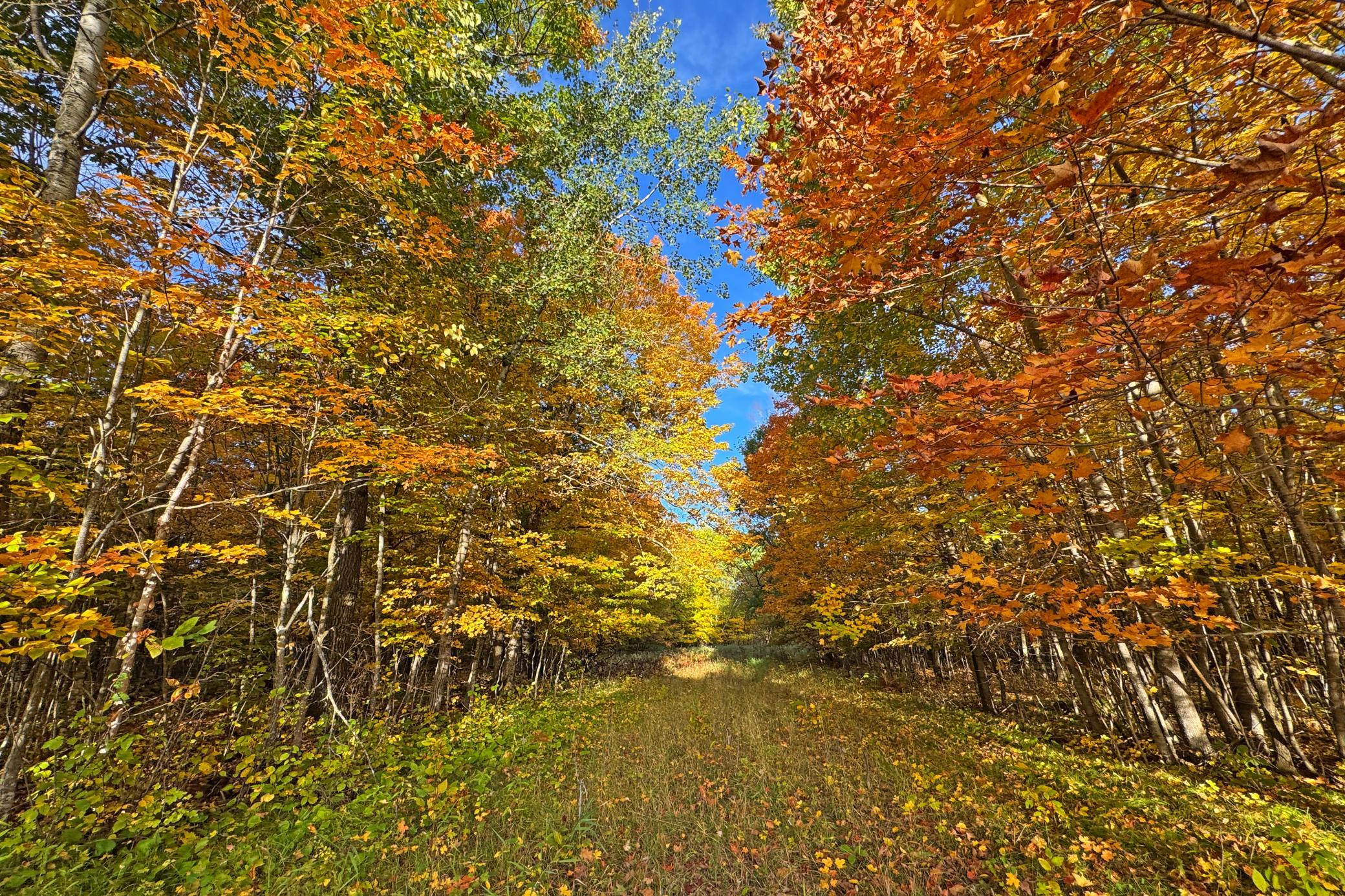 26-Becker-80-Land-12.JPG
