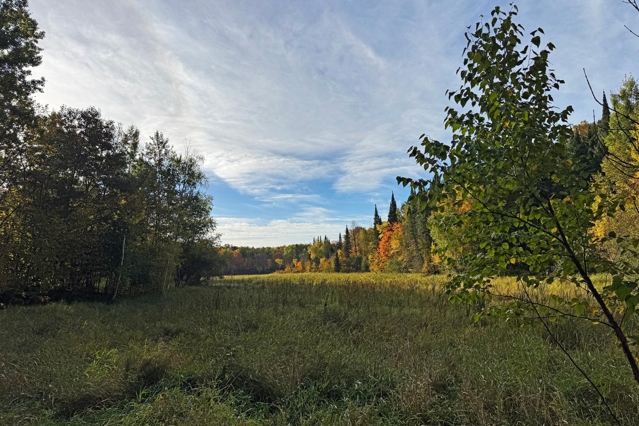 48-Becker-80-Land-34.JPG