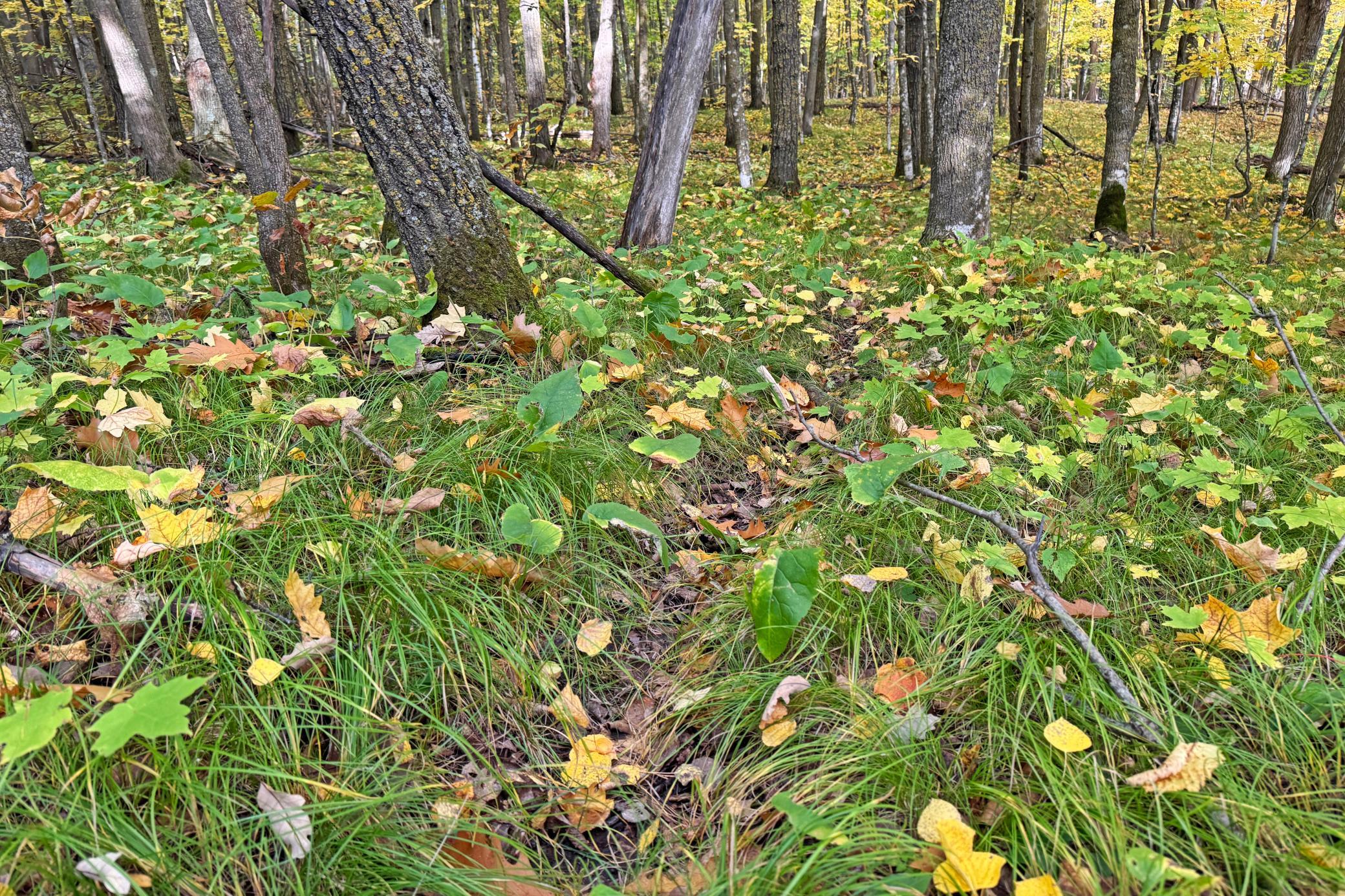 43-Becker-80-Land-29.JPG