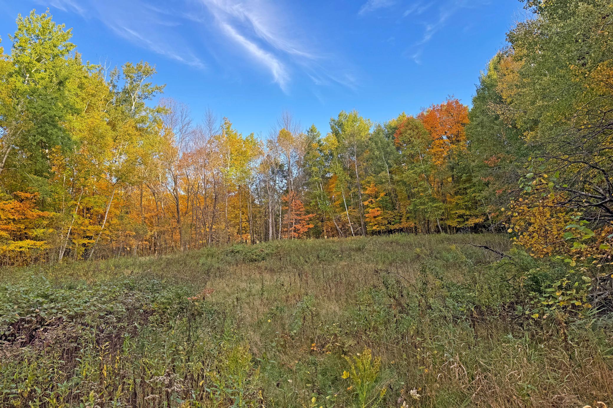 27-Becker-80-Land-13.JPG