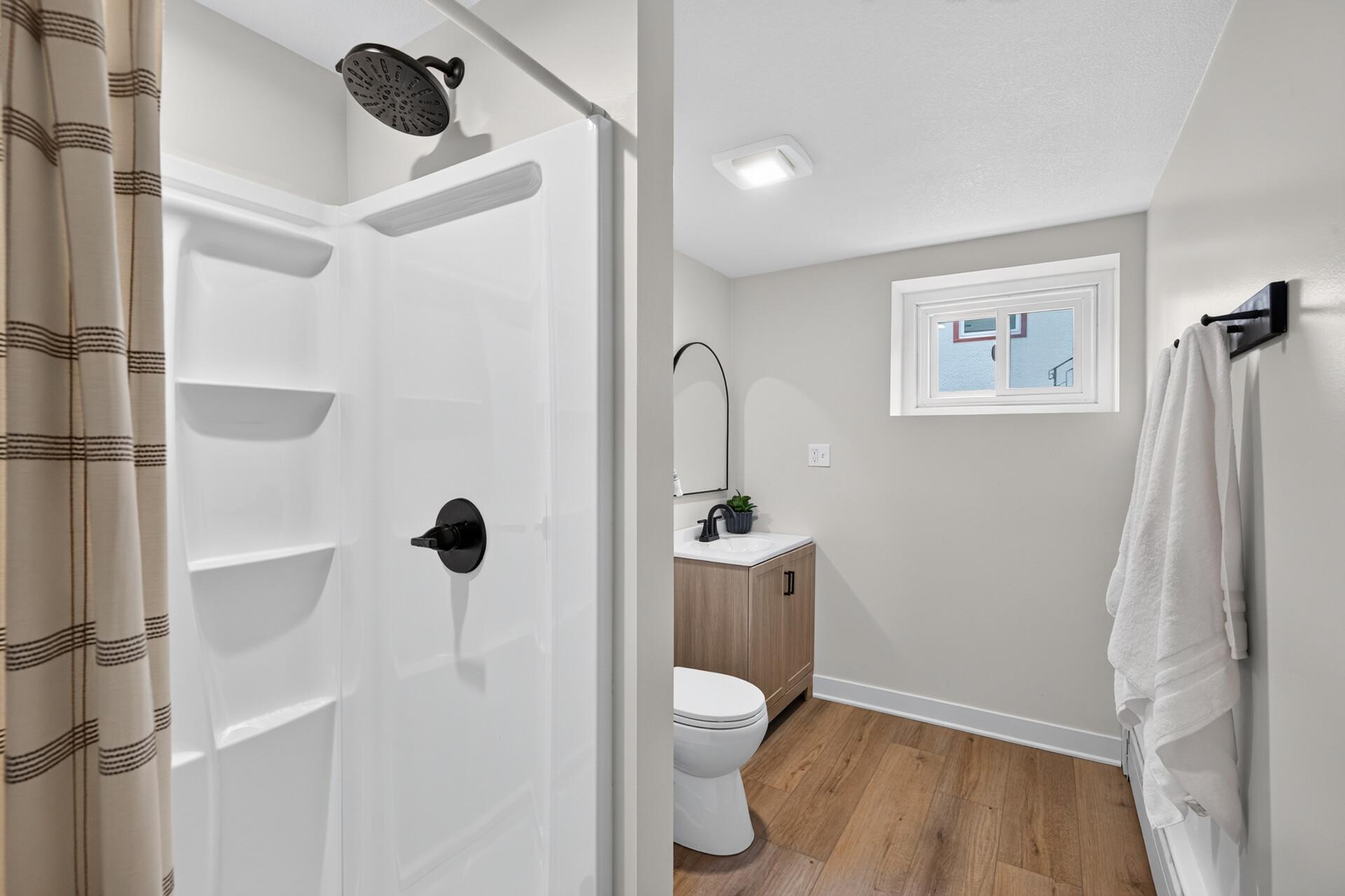 Lower level bathroom