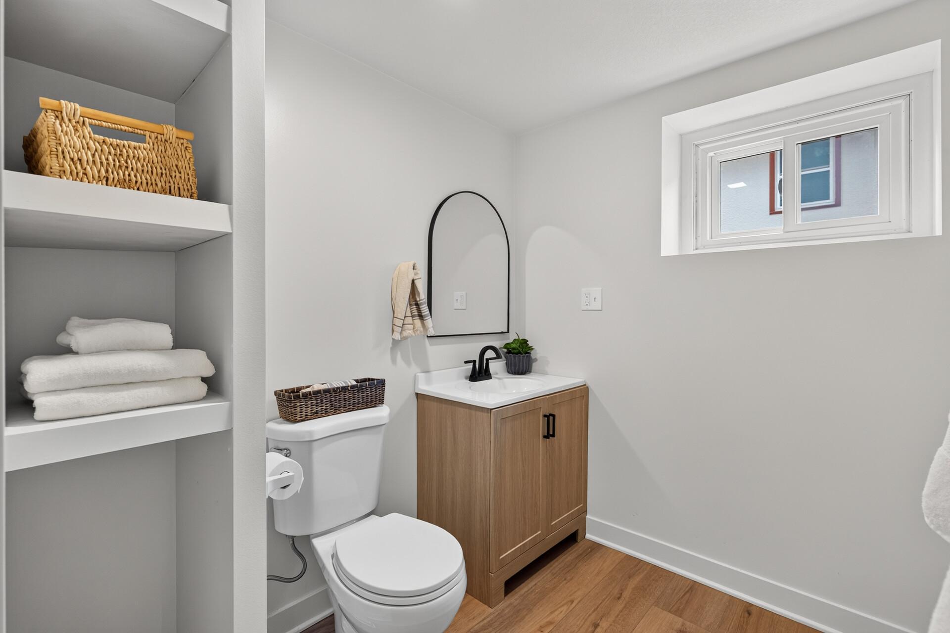 Lower level bathroom