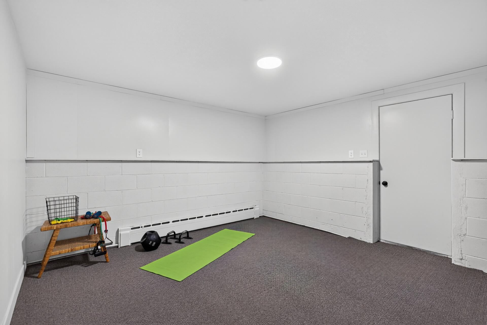 Bonus room lower level