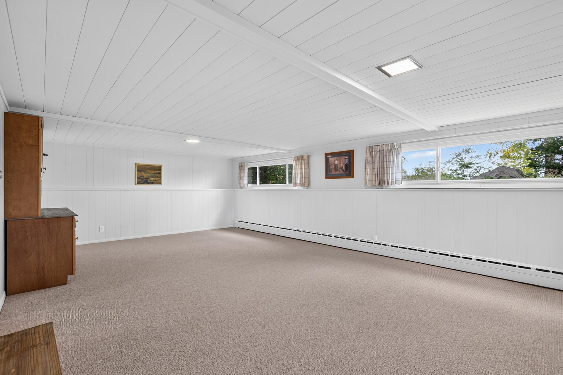 Lower level family room