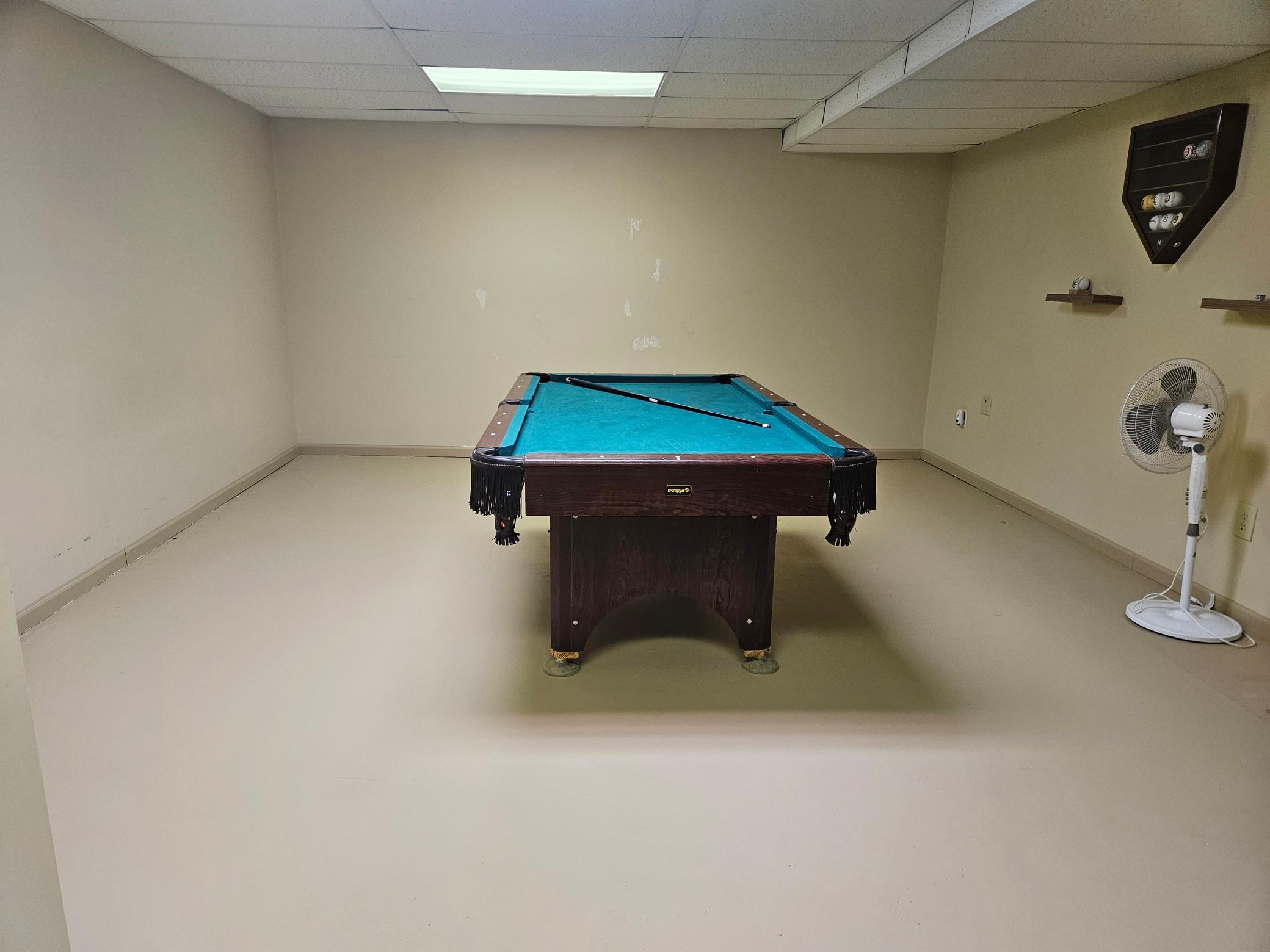 Basement Bonus Room