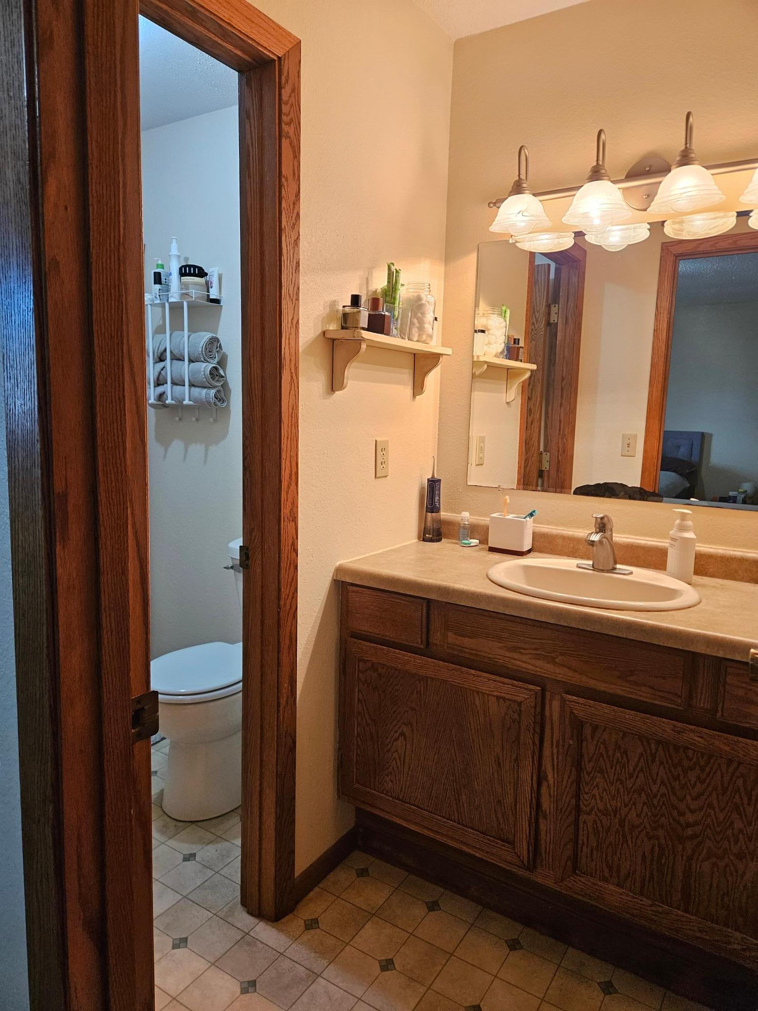Primary Bedroom Bathroom