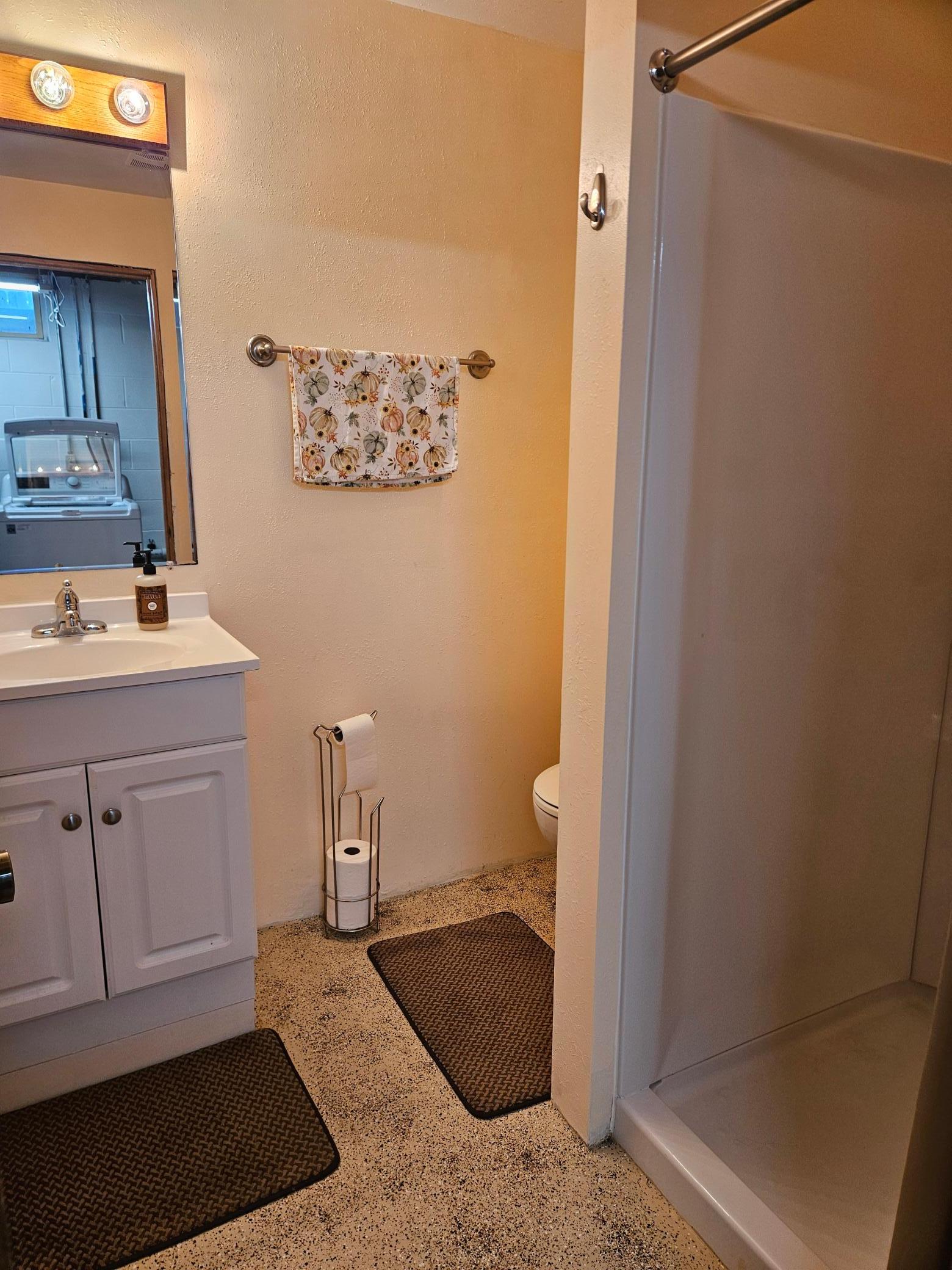 Basement Bathroom