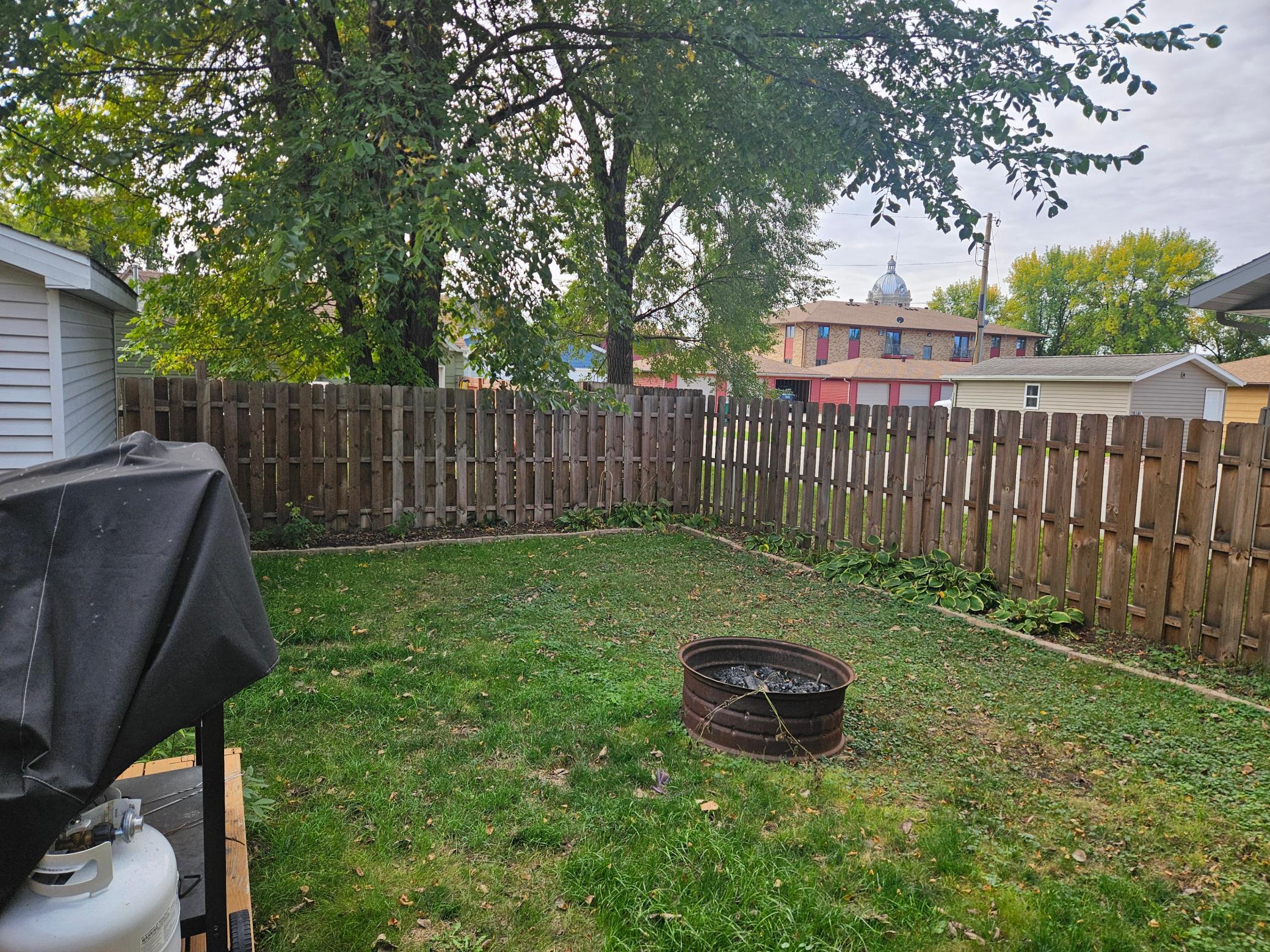 Back yard