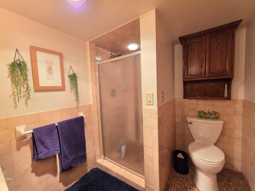 330 9th Street NW, Plainview, MN 55964