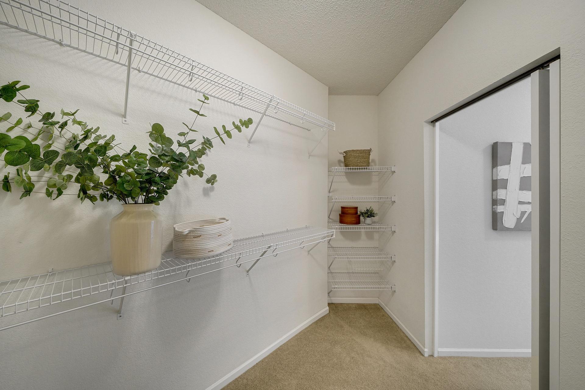 Large walk-in primary closet