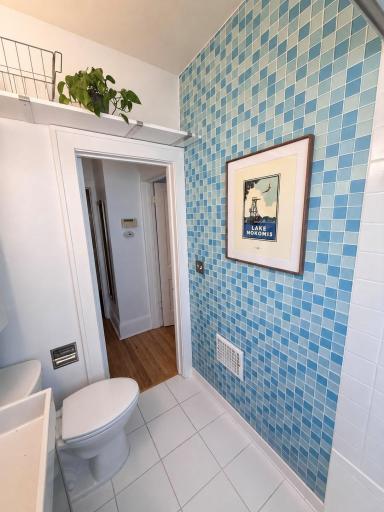 The tiled walls, glass block window, and over the doorway storage is perfect.