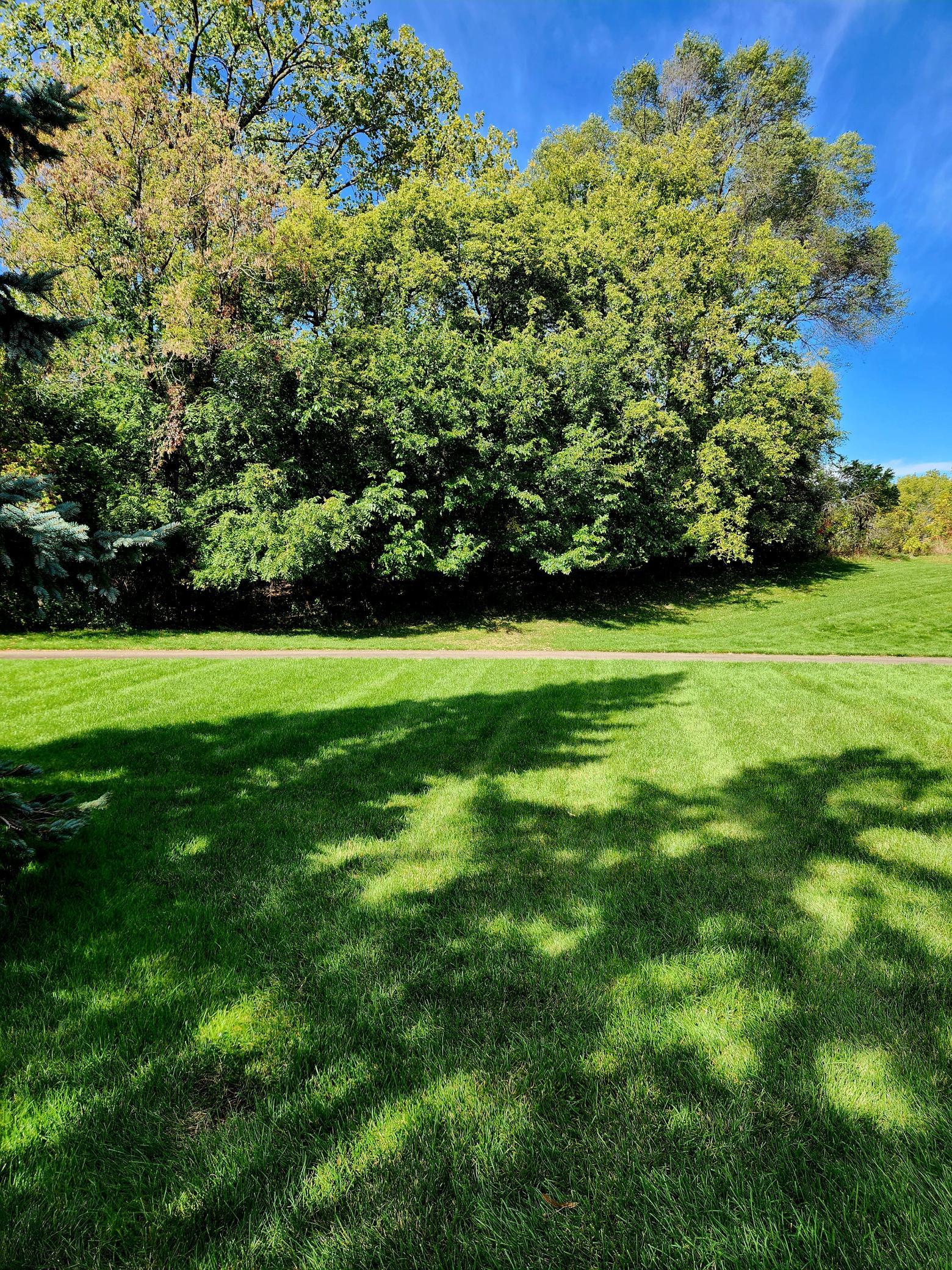 Side yard extends into common area