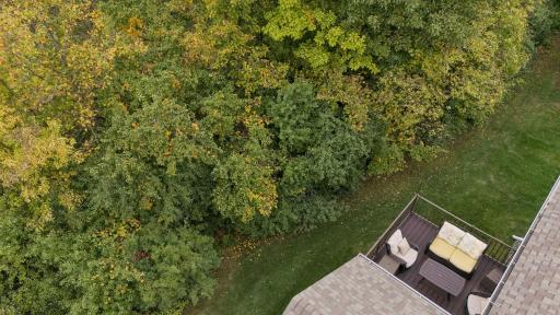 832 Aurora Circle - Spacecrafting - 0008.jpg