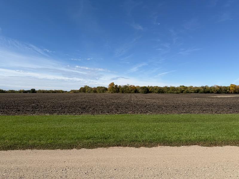 View from front yard