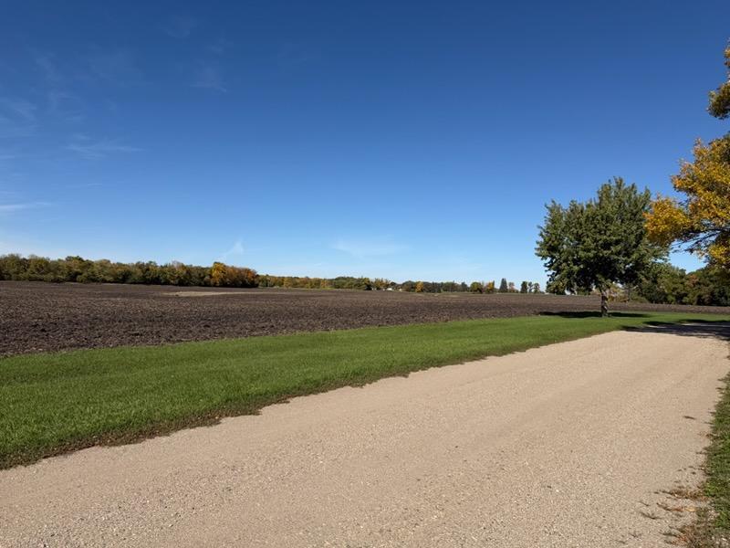 View from front yard