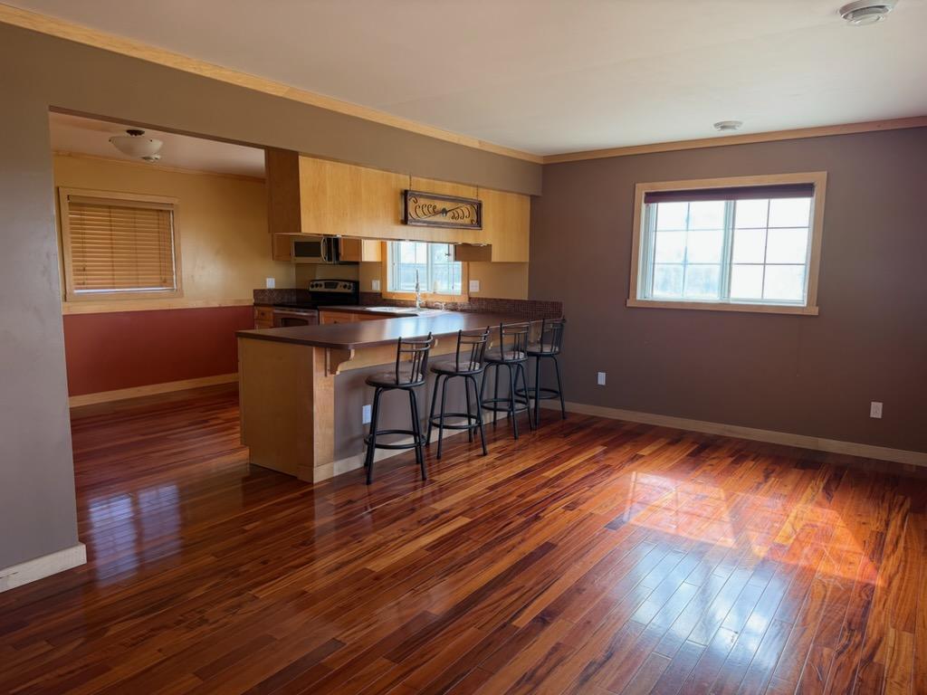 Living room / Kitchen