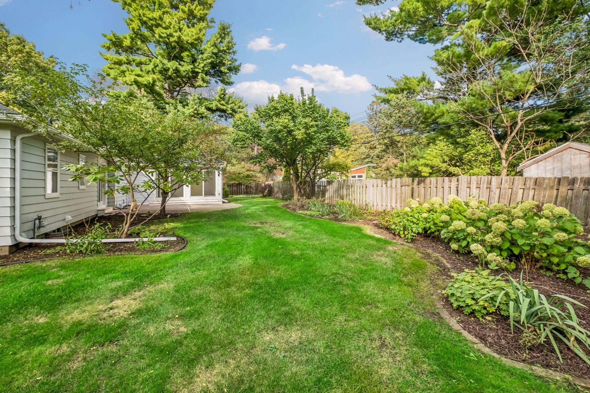 long view of back yard.