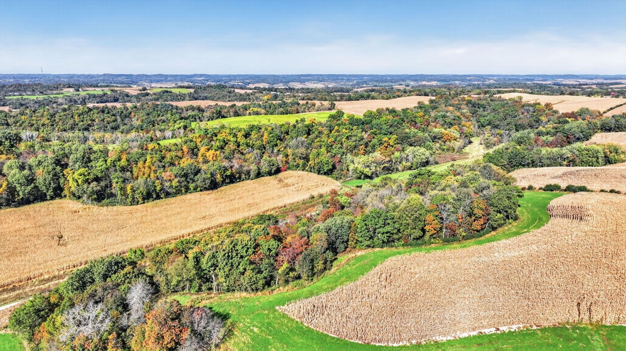 006_dji_0463_256.jpg