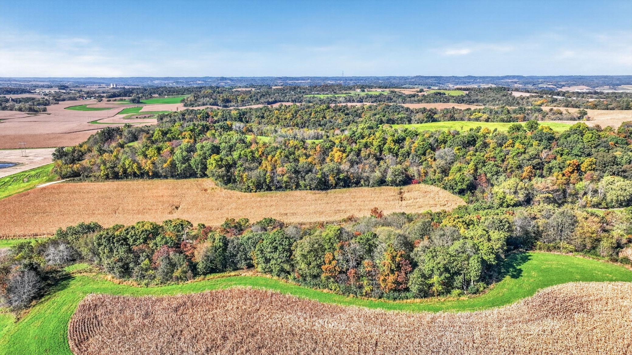 008_dji_0473_3.jpg