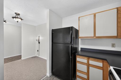455 Dayton Avenue, 308, Saint Paul, MN 55102