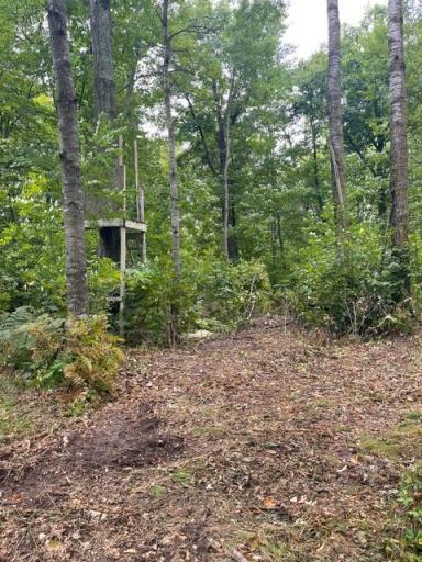 TBD Lacy Lane SW, Pequot Lakes, MN 56472