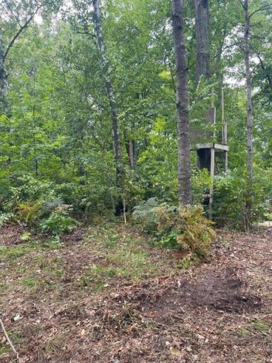 TBD Lacy Lane SW, Pequot Lakes, MN 56472
