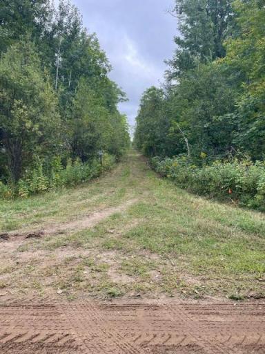 TBD Lacy Lane SW, Pequot Lakes, MN 56472
