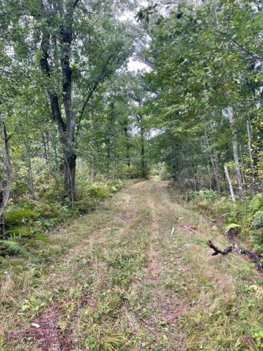 TBD Lacy Lane SW, Pequot Lakes, MN 56472