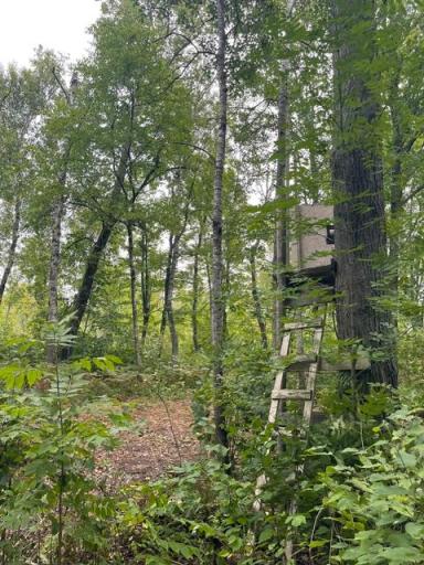 TBD Lacy Lane SW, Pequot Lakes, MN 56472