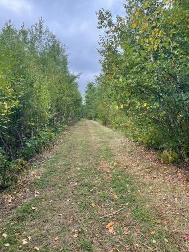 TBD Lacy Lane SW, Pequot Lakes, MN 56472