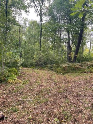 TBD Lacy Lane SW, Pequot Lakes, MN 56472