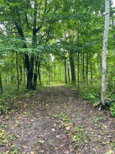 TBD Lacy Lane SW, Pequot Lakes, MN 56472