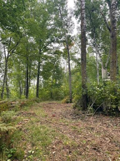 TBD Lacy Lane SW, Pequot Lakes, MN 56472