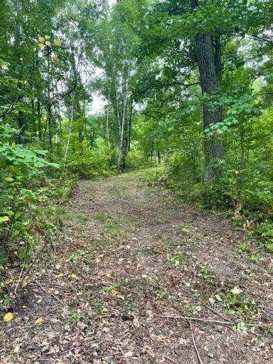 TBD Lacy Lane SW, Pequot Lakes, MN 56472