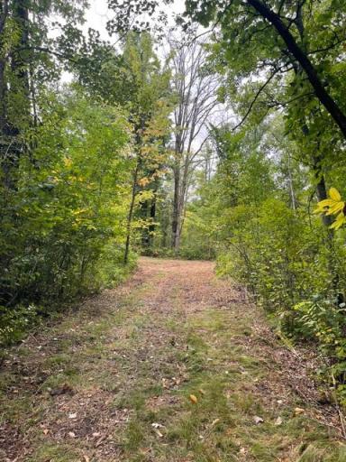 TBD Lacy Lane SW, Pequot Lakes, MN 56472
