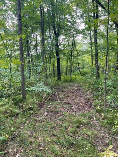 TBD Lacy Lane SW, Pequot Lakes, MN 56472