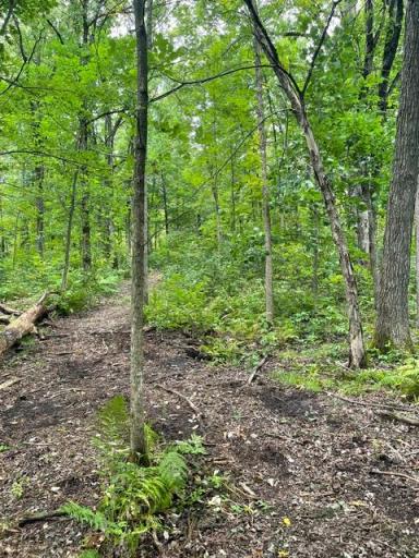 TBD Lacy Lane SW, Pequot Lakes, MN 56472