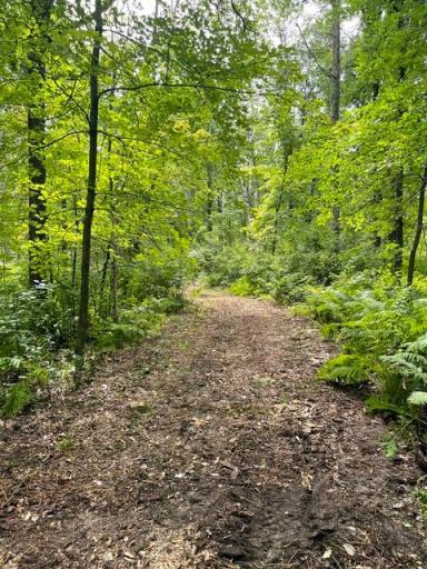 TBD Lacy Lane SW, Pequot Lakes, MN 56472