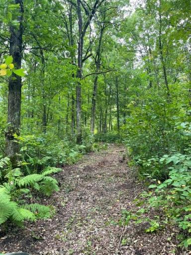 TBD Lacy Lane SW, Pequot Lakes, MN 56472