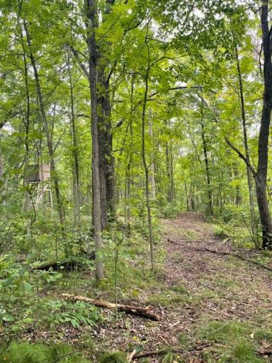 TBD Lacy Lane SW, Pequot Lakes, MN 56472