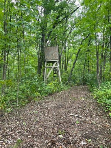 TBD Lacy Lane SW, Pequot Lakes, MN 56472