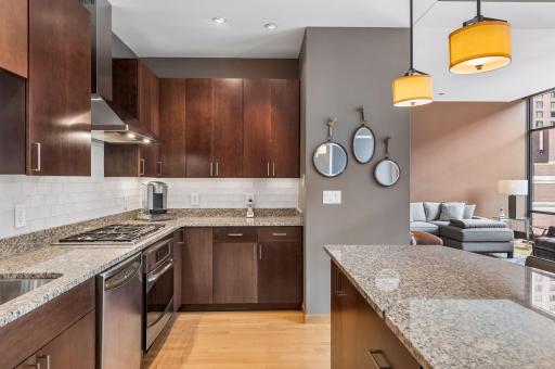 201 S 11th Street, 430, Minneapolis, MN 55403