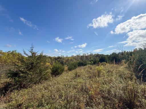 31258 E 325th Avenue, Lanesboro, MN 55971