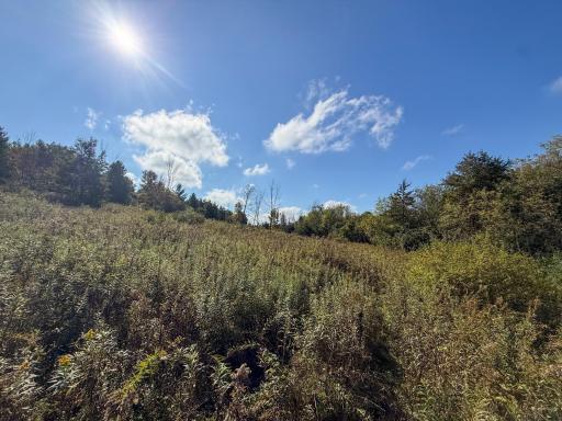 31258 E 325th Avenue, Lanesboro, MN 55971