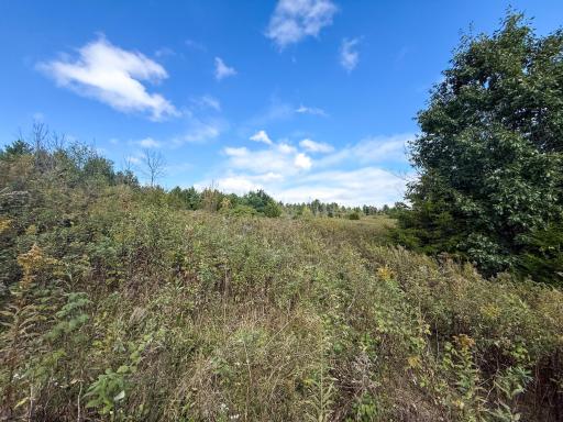 31258 E 325th Avenue, Lanesboro, MN 55971