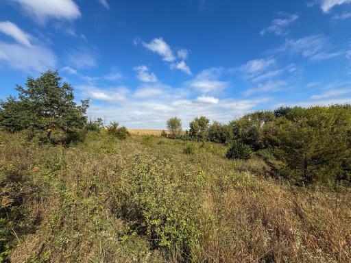 31258 E 325th Avenue, Lanesboro, MN 55971